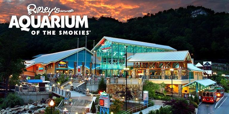 Modern Style, Arcade, Fire Pit, Pet Friendly Villa Pigeon Forge Exterior foto